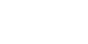 LEK Consulting